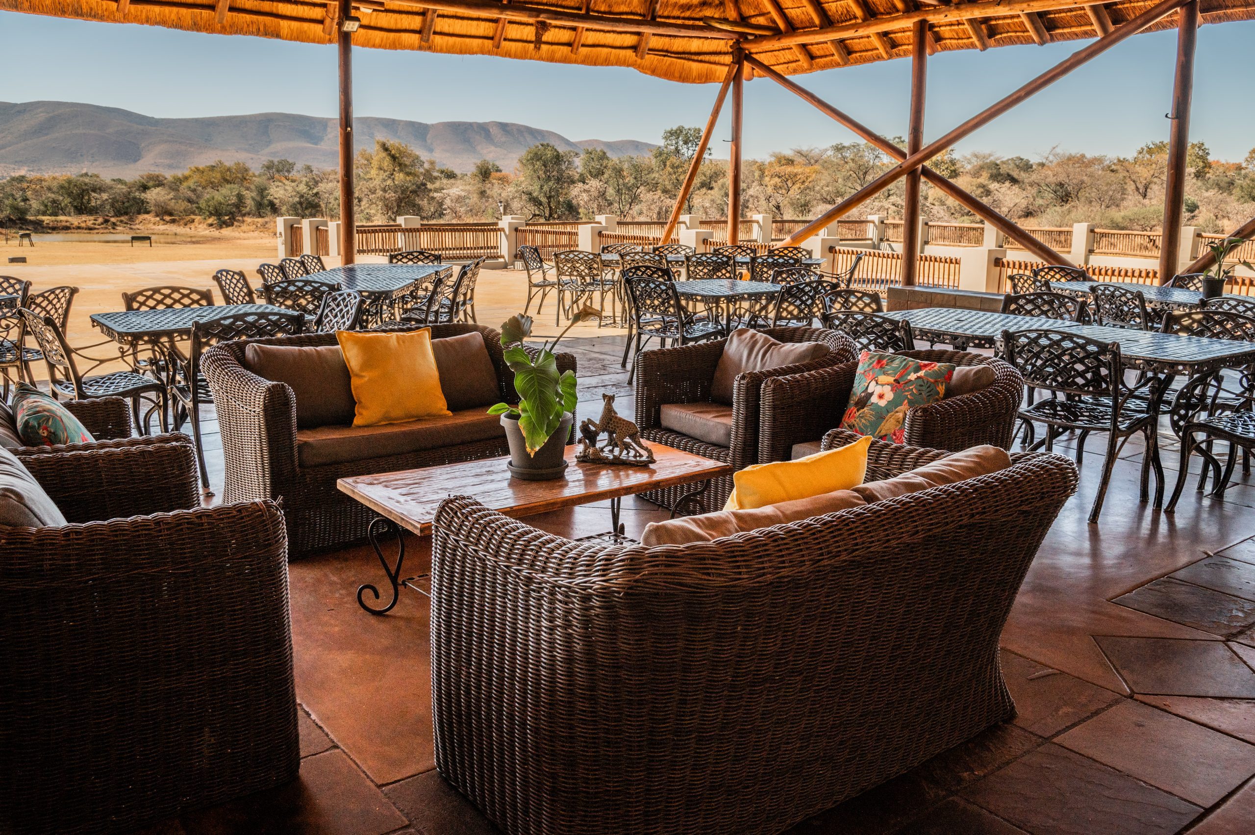 Students engaging in high rope course challenge